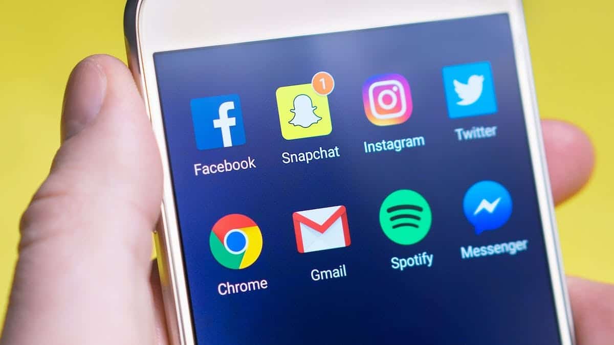 réseaux sociaux  référencement