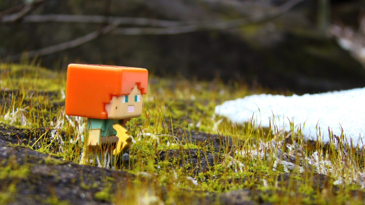 Comment choisir un serveur Minecraft ?